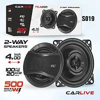 автомобильная акустика carlive ts-a1095 (4")(pioneeir ok) колонки для авто (2 коаксиальных динамика)  фото